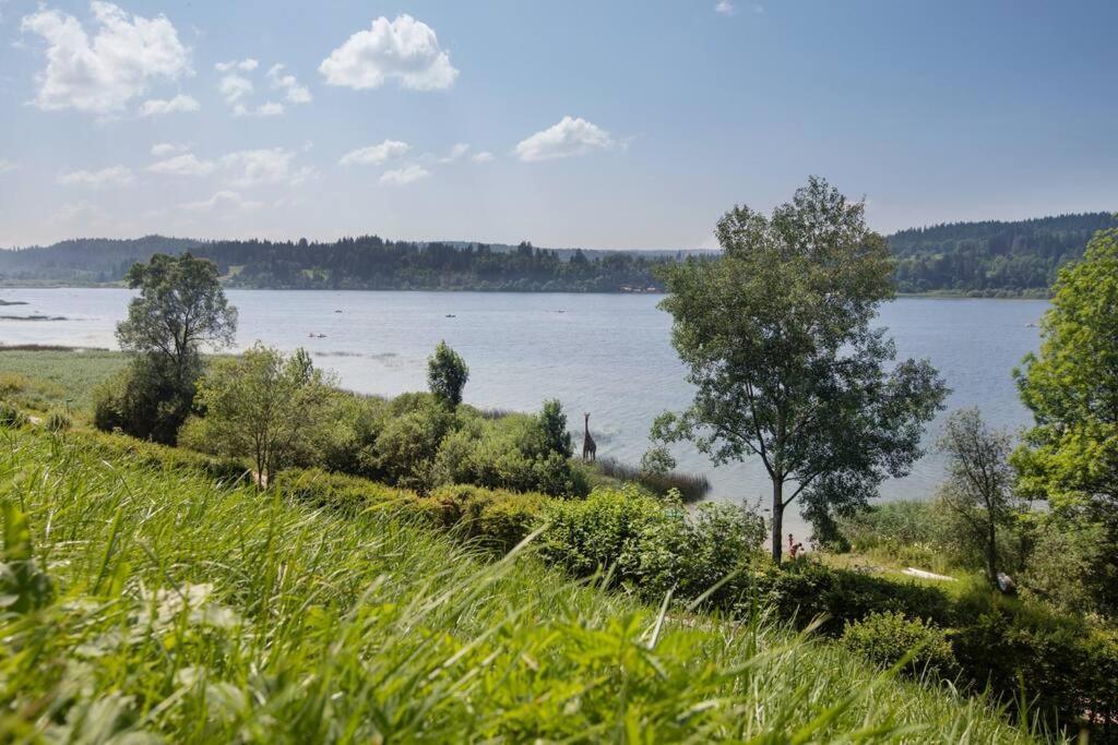 Duplex Le Reflet Du Lac Malbuisson Exteriér fotografie